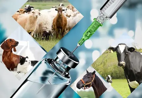 Nhà máy thuốc thú y, thủy sản