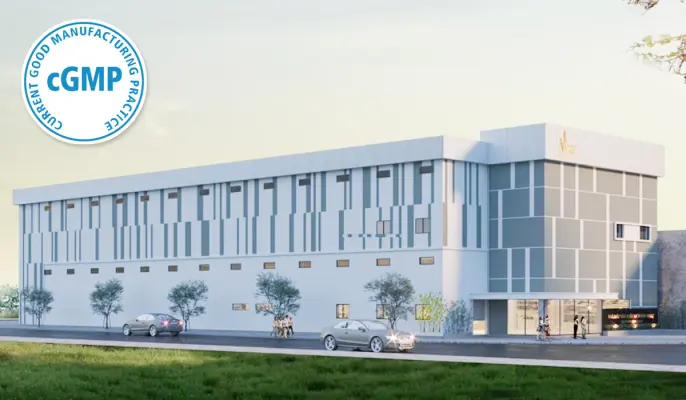 Nhà máy đã có Giấy chứng nhận đủ điều kiện sản xuất nhưng chưa đạt CGMP ASEAN có được tiếp tục hoạt động không?