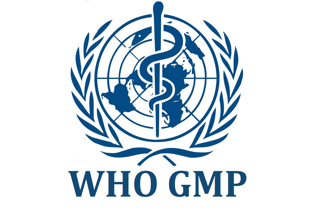 Hướng dẫn chung về nhân sự và cơ sở sản xuất trong WHO-GMP