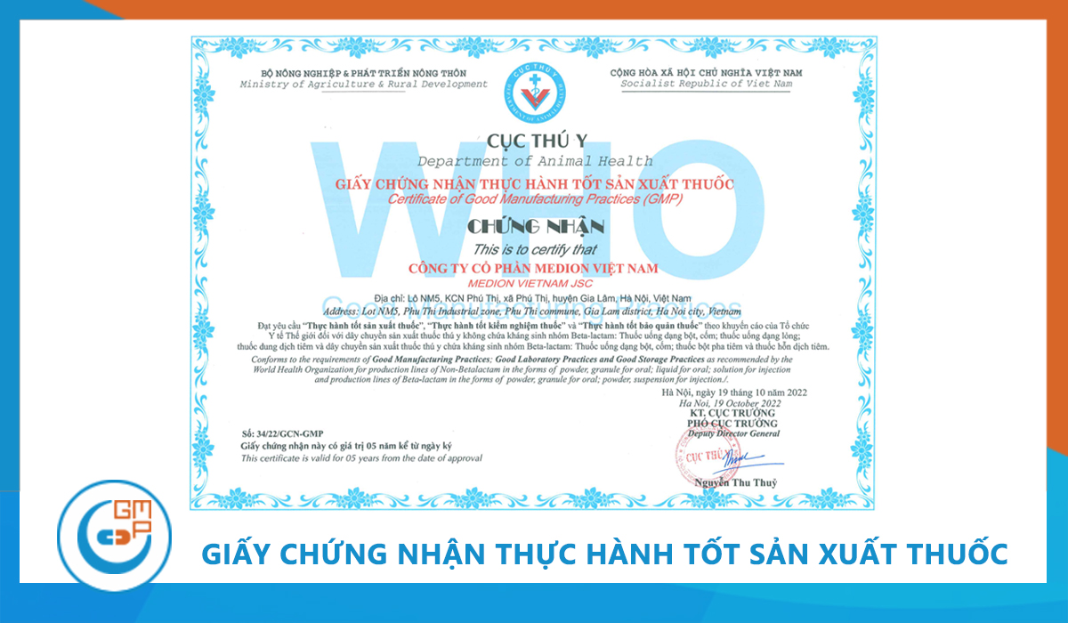 Chúc mừng Greenvet (Medion) tiếp tục nhận chứng nhận WHO GMP - Đánh dấu 10 năm hợp tác GMPc