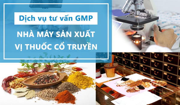 Dịch vụ tư vấn GMP nhà máy sản xuất thuốc cổ truyền