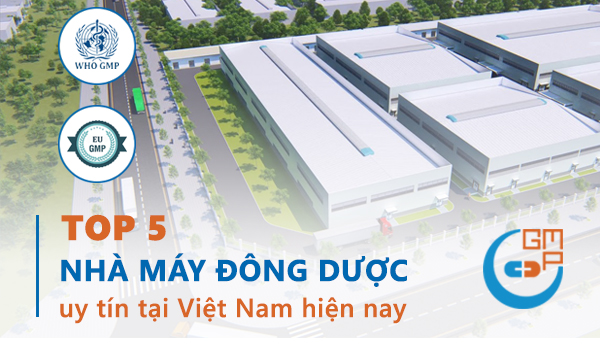 Top 5 công ty dược phẩm đông dược uy tín tại Việt Nam hiện nay