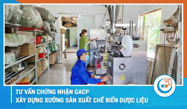 Tư vấn chứng nhận GACP xây dựng xưởng sản xuất chế biến dược liệu