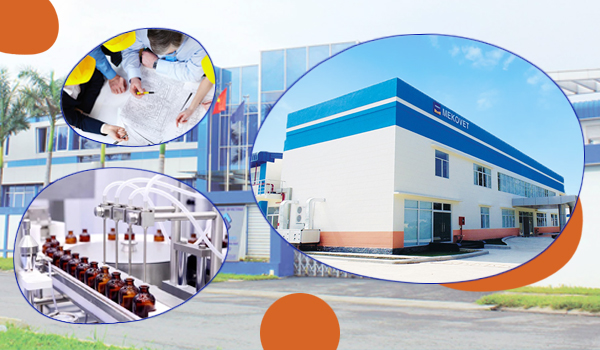 Tư vấn thiết Kế Thi Công Nhà máy thuốc thú Y Đạt Chuẩn GMP