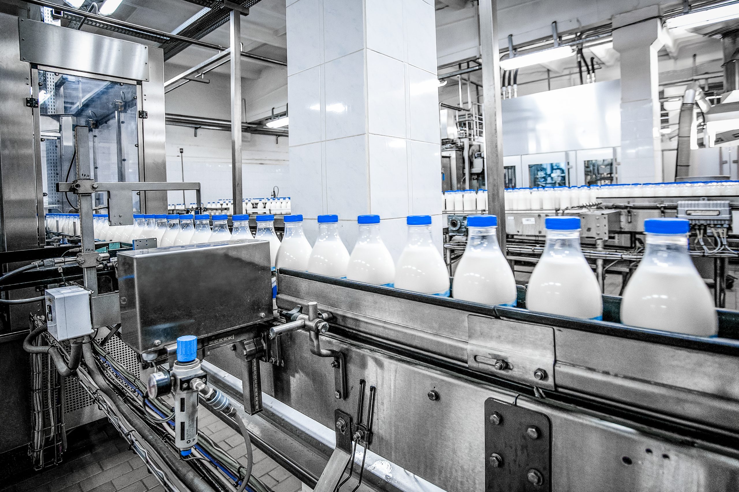 Nhà máy sản xuất sữa Alibaba tiêu chuẩn GMP