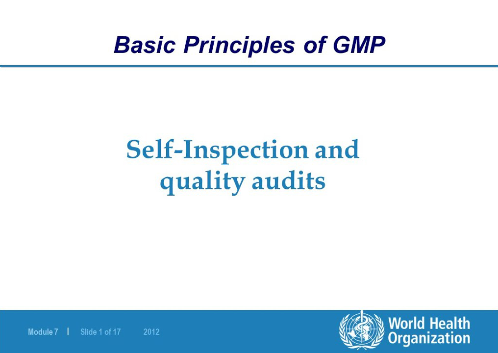 WHO GMP guidelines: Self-inspection and Quality Audits